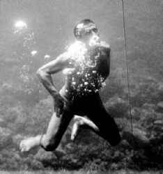 diver by Sergio Loppel 